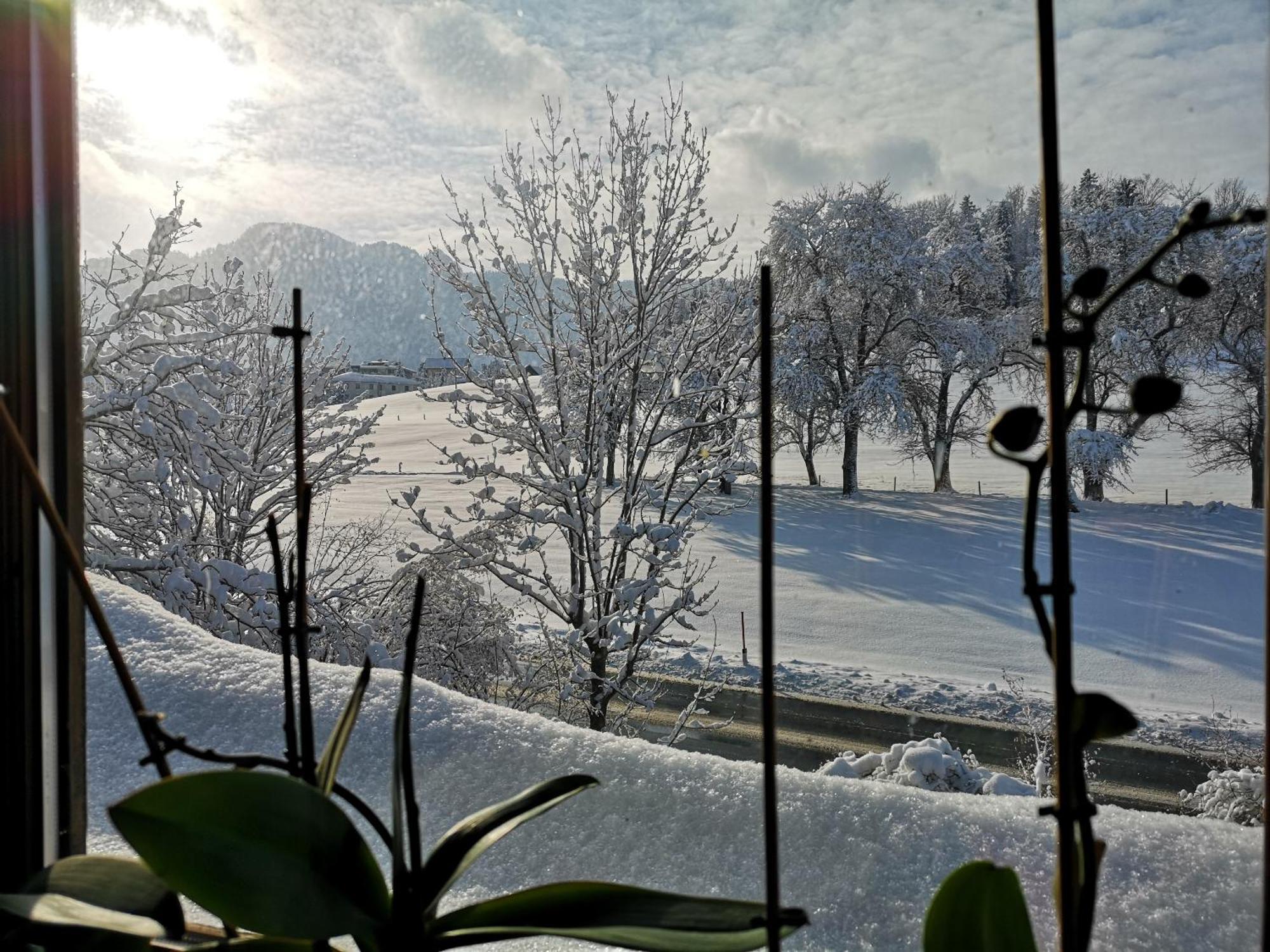 Apartment Schwarzindien Sankt Lorenz  ภายนอก รูปภาพ